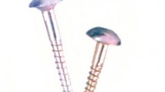 Mirror Screw
