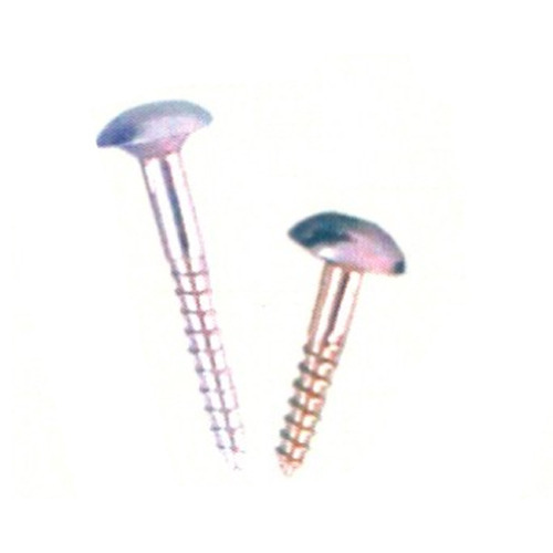 Mirror Screw